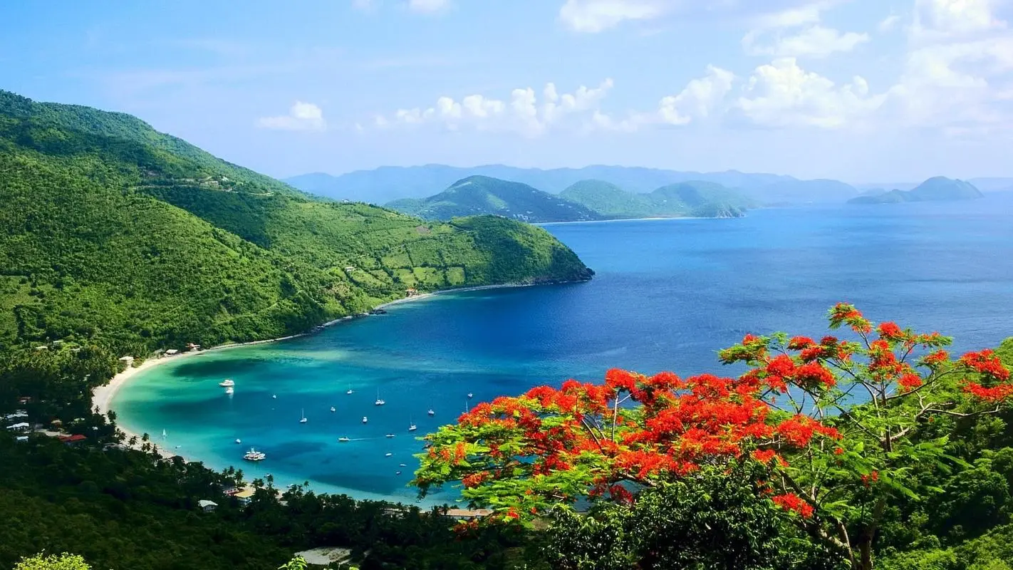 高端智能系统