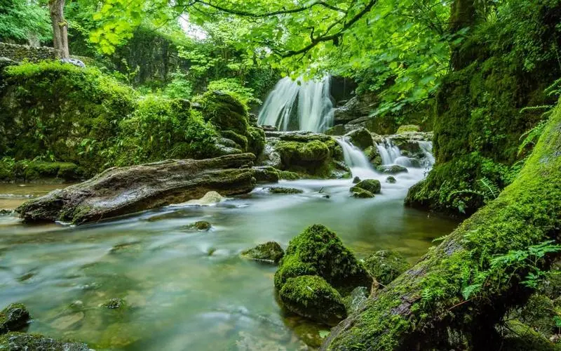 高质量智能独特